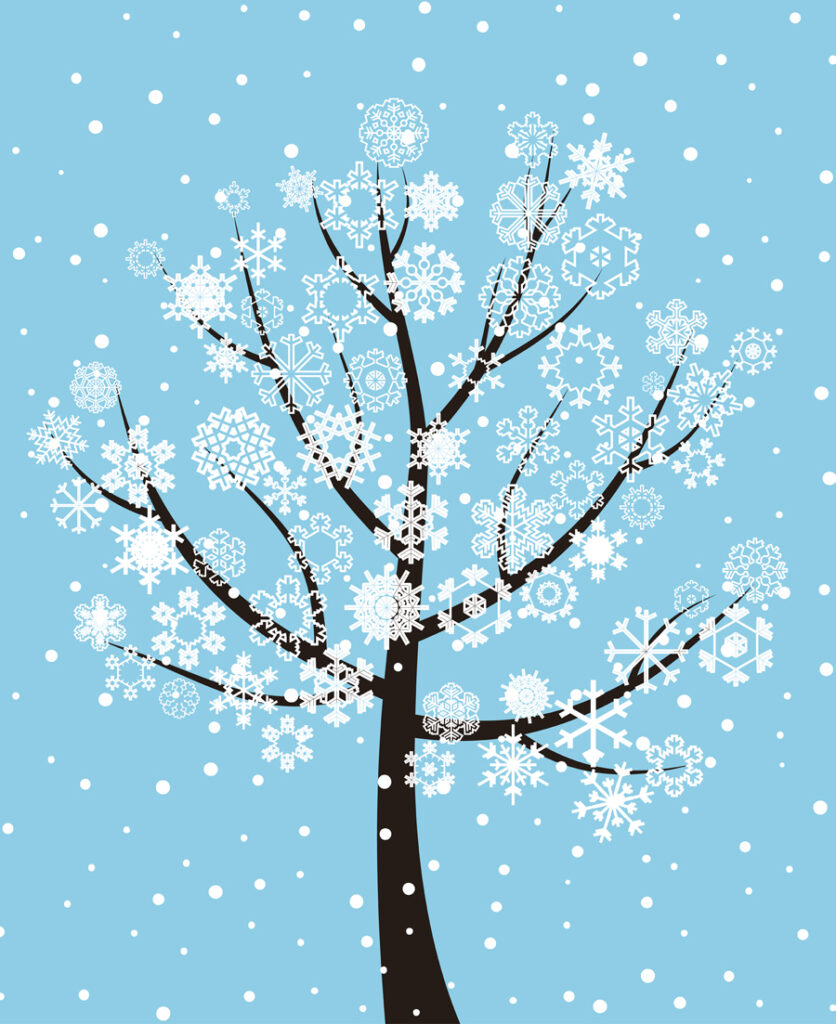 snow tree